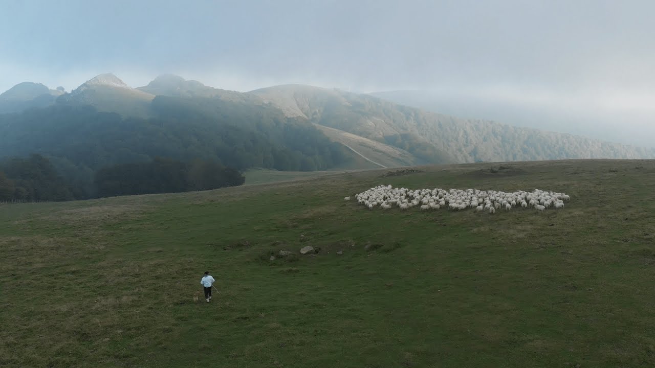 Queso Juanbeltz - Beruete, territorio de pastores | Juanbeltz Gazta: Beruete, artzainen lurraldea