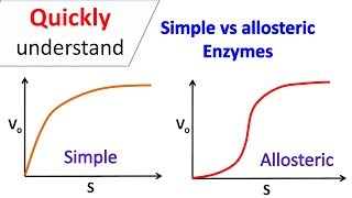 Simple enzymes  vs  Allosteric enzymes