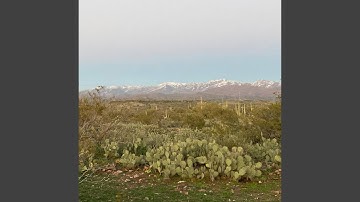 Happy Accident (Live Loop)