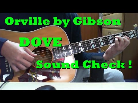 Orville by Gibson DOVE Sound Check ! （こんな音になりました