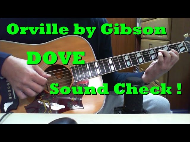 Orville by Gibson DOVE Sound Check ! （こんな音になりました