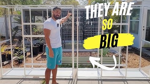 The New Flight Cages are Finally Here !!!