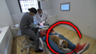 Therapy Dog Soothes Anxious Dental Patients