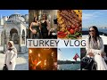 Turkey vlog  come with me to istanbul  clinic hub surgery exploring istanbul  edwigealamode