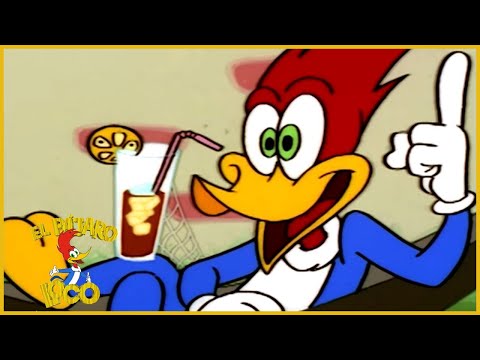 El Pajaro Loco