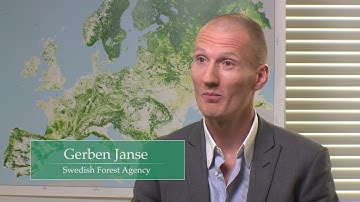 Visions of EFI: Gerben Janse