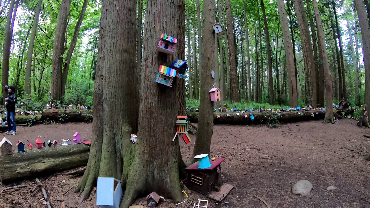 Redwood Park The Fairy Forest YouTube