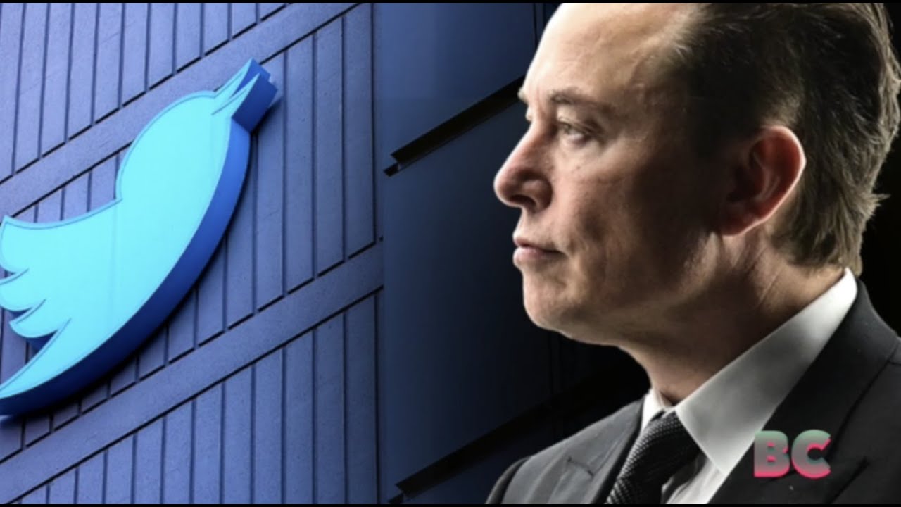 Elon Musk Tells Twitter Followers to Vote for a Republican Congress