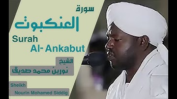 الشيخ نورين محمد صديق سورة العنكبوت Sheikh | Nourin Mohamed Siddig |Surah Al-Ankabut