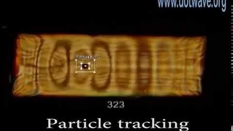 Particle in a box - DotWave Self-Interference tracking and statistics