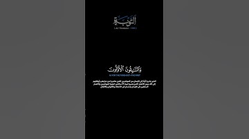 سورة التوبة الآية 100 انس المالك #قران #حالات_واتس#لايك #quran #guidance #ksa #uae#us#usa #trending