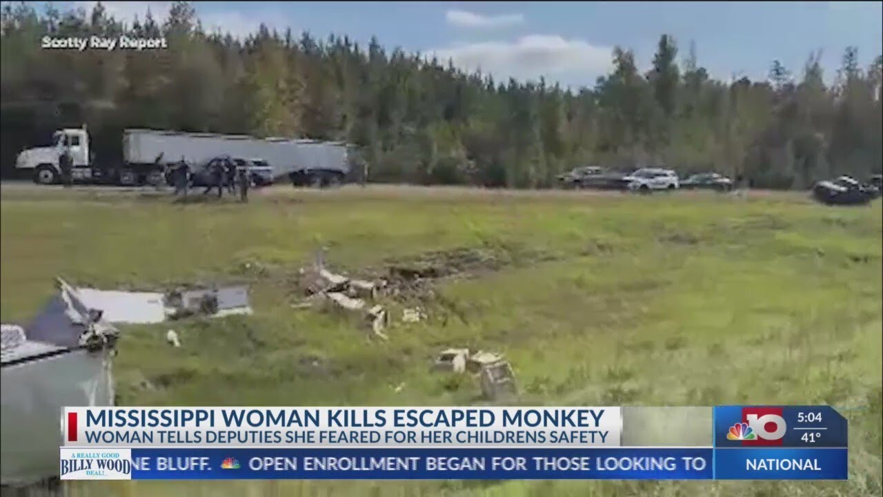 NBC 10 Your Morning News: Mississippi woman kills escaped monkey - YouTube