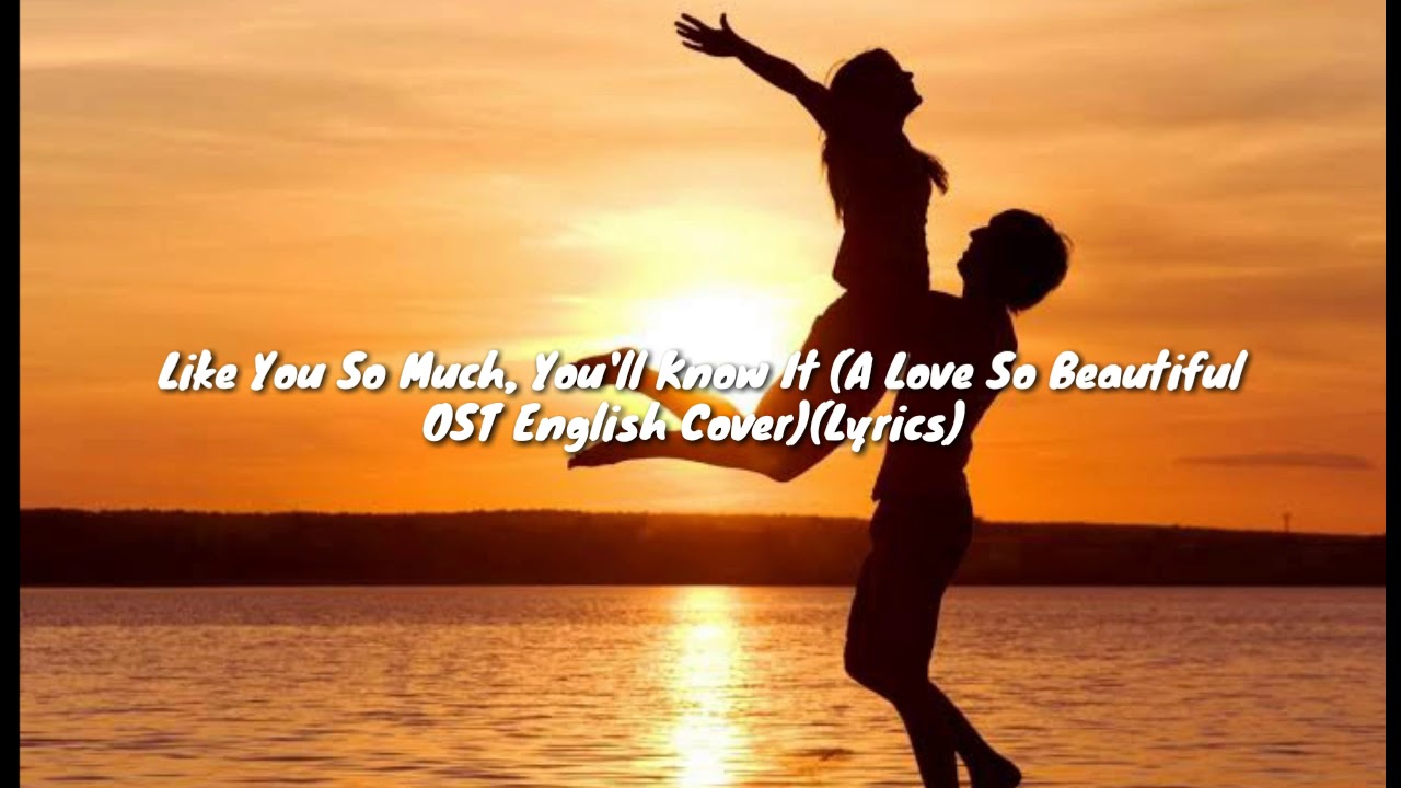 Like you so much,You'll know it(A love so beautiful english cover
