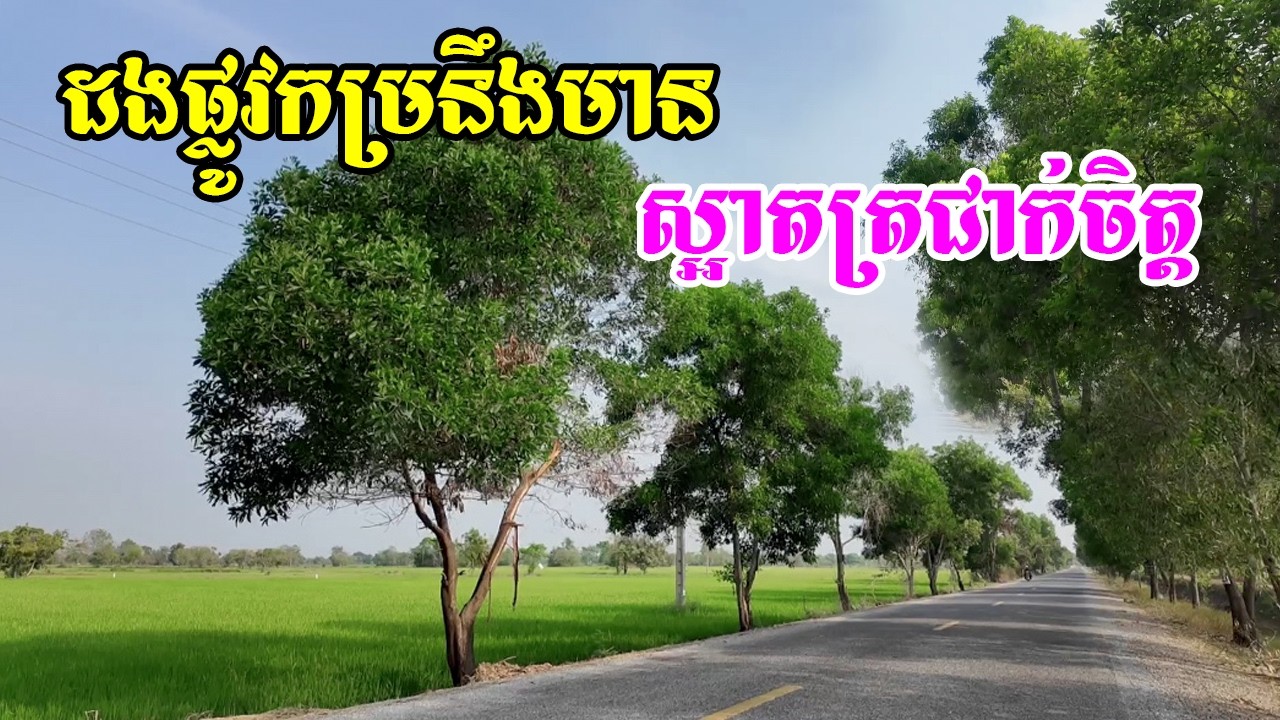 ដងផ្លូវកម្រនឹងមានណាស់នៅស្រុកថ្មគោលទេសភាពស្អាតលើផ្លូវធ្វើដំណើរទទួលបានអារម្មណ៍ស្រស់ស្រាយត្រជាក់ចិត្ត