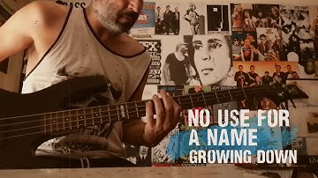 No Use For A Name  - Growing Down (Bass Cover)