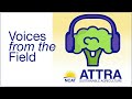 Episode 313. Meet NCAT. Cody Brown on Carbon Planning in Texas