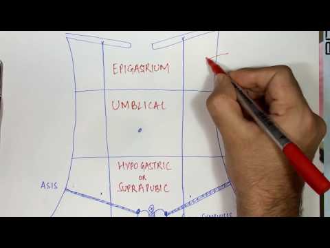 تصویری: ناحیه هیپوگاستریا چیست؟