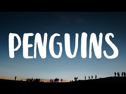 Ed Sheeran - Penguins (Lyrics)