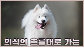 알콜 토론