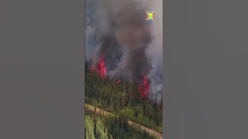 Mỹ cảnh báo ô nhiễm không khí do hàng trăm vụ cháy rừng bùng phát ở Canada