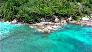 Sunshine Smile - Happy Music (No Copyright) | Positive Happy | Motivation for Success