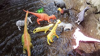 Playing animal toys giraffe, dinosaur, donkey, lion, elephant, Horse, Zebra and dog in the river