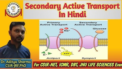 Secondary Active Transport| In Hindi| By Dr. Aditya Sharma CSIR-JRF PhD For CSIR-NET, ICMR, DBT, JNU