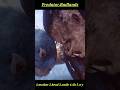 Predator: Badlands (2025) | A Mother’s Final Goodbye — Dirk & Bud Hold On Tight 😢🔥