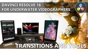 DaVinci Resolve for Underwater Videographers: Part IIb – Transitions and Tools