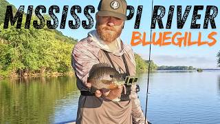 Finding Mississippi River Bluegills and a Bonus Multi‑Species Bite