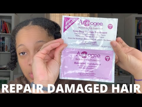 REPAIR DAMAGED HAIR AT HOME HOW TO  ApHogee TWO-STEP PROTEIN TREATMENT