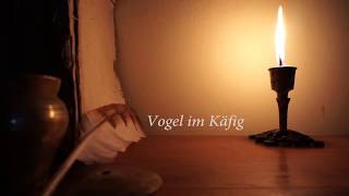 Shingeki no Kyojin OST Vogel im Kafig lyric English translation