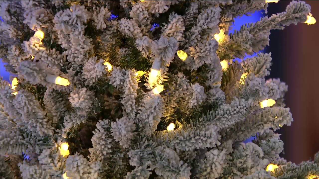 Santa's Best Balsam Fir Christmas Tree with RGB 2.0 Technology on QVC ...