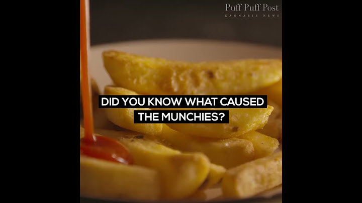 Science Behind Munchies: Why Does Cannabis Cause Hunger?