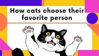 How Cats choose their favorite Person by mypethow 3,207 views 3 months ago 1 minute, 54 seconds