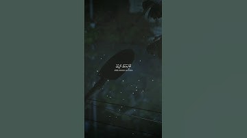 ﴿ اللَّهُ يَبْسُطُ الرِّزْقَ لِمَن يَشَاءُ مِنْ عِبَادِهِ وَيَقْدِرُ لَهُ ۚ}#الرزق #سورة_العنكبوت