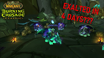 Hitting Exalted With Netherwing - TBC Classic