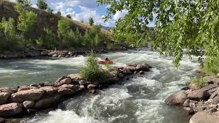 Crazy Whitewater Rafting in the Durango Whitewater Park on the Animas River