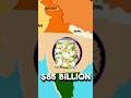 French fries made billions of dollars for India #frenchfry #mcdonalds #frozenfood
