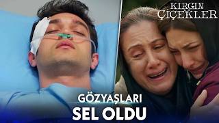 Cemre, Gökhan’ın Ölümüyle Yıkıldı! - Kırgın Çiçekler Kolaj
