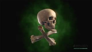 4K Skull with Bones Half Hour Long Loop - Video Background Screensaver Live Wallpaper
