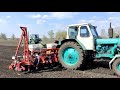 ЮМЗ Стара гвардія  Сієм Соняшник PIONER P64LE25  Kuhn Planter 2 Дан 2 1