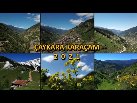 Video: Karaçam