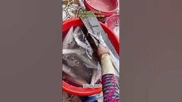 Quá trình làm mực 1 nắng nhà e ạ |  MINOS .COM.VN #minos #hảisảnminos #seafood #minos2