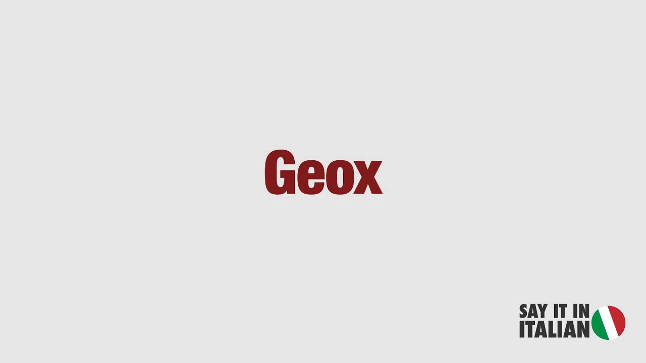Image result for Geox ITALY LOGO