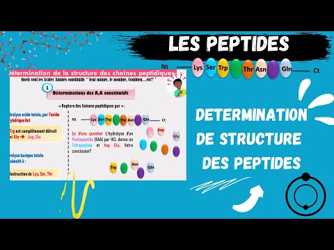 ?Les PEPTIDES: Détermination de la Structure Des Peptides اقوى شرح للبيبتيد? #PEPTIDS#MEDECINE​ #SNV