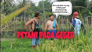 Suara Hati Petani || Film pendek ngapak #MLEKOKI