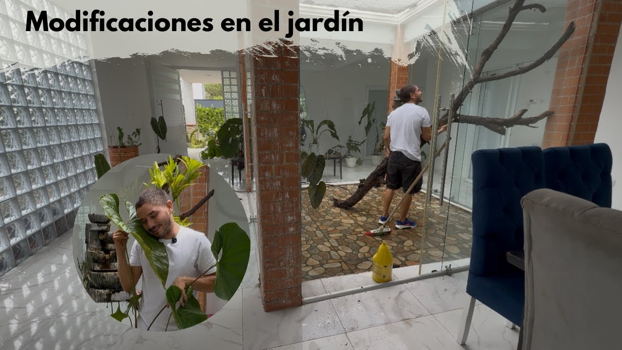 Metí un tronco gigante en mi jardín interior… ¡no creerás el resultado!