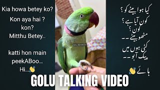 Parrot Golu Talking Video Golu Ne Aj Salam Nahi Krna Mamma Ko