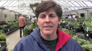 Everybody talks about Bumper Crop at Primex Garden Center